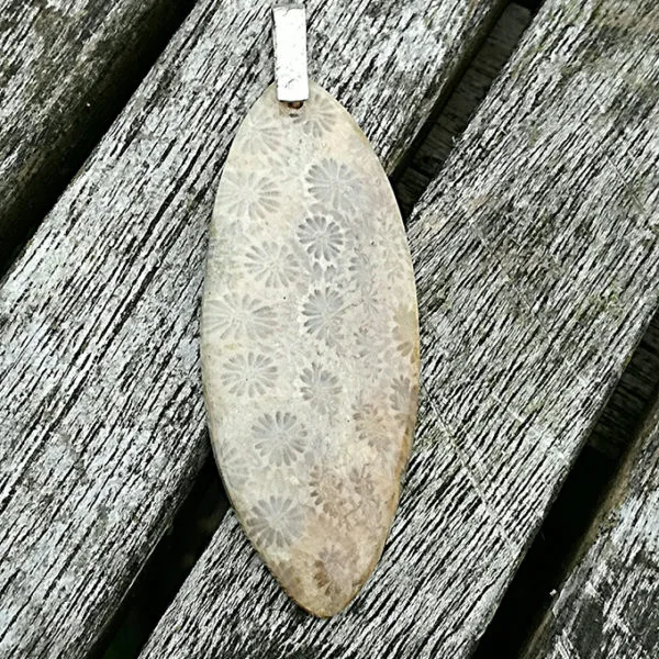 Pendentif Fossile de Corail Argent MAssif