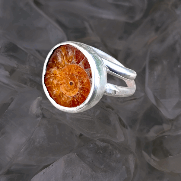 Bague ajustable fossile ammonite argent